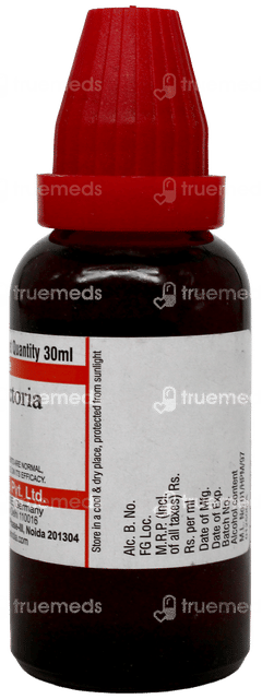 Dr Willmar Schwabe Baptisia Tinctoria Q Mother Tincture 30Ml